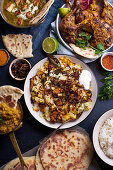 Indian cuisine dinner