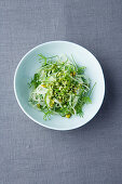 Green papaya salad with pistachios and fennel