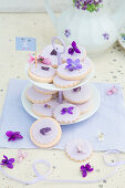 Violet biscuits on cake stand