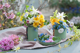 Small bouquets of primroses, daffodils, forget-me-nots, horned violets and daisies in tin cans