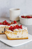 Baked vanilla cheesecake with crust and red currant
