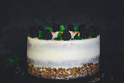 Blackberry cake with vanilla cream and hazelnut brittle