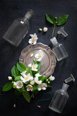 Fragrant posy of mock orange