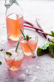 Rhubarb juice with ice cubes
