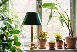 Zimmerpflanzen und antike Tischlampe auf Fensterbank