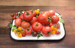 Verschiedene Tomatensorten auf Vintage-Emailleplatte