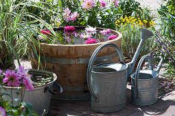 Wooden barrel and zinc tub with water, dahlia blossoms float in the water, blooming saintly herb and dahlia