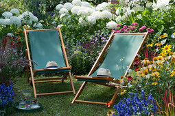 Folding deck chairs on a small lawn island between flowering perennials and hydrangeas shrub