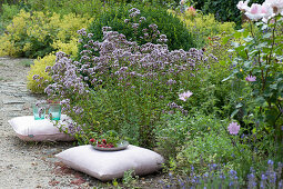 Flower bed with oregano and lady's mantle, cushions to sit on, bowl of raspberries and glasses