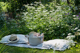 Picnic in the natural garden: flowering groundfish, blanket, pillow, hat, basket with cutlery, plates and glasses
