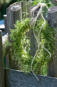 Wreath of bedstraw on the fence