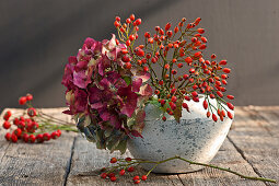 Hydrangea flower and rose hips