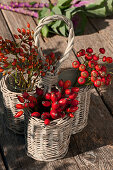 Rose hips as autumn bouquets
