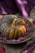 Crookneck pumpkin with budding heather in bowl