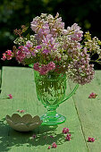 Bouquet of purple crown vetch