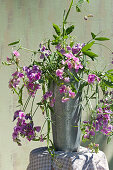 Wild arrangement of everlasting sweet peas