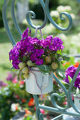 Violetter Strauß aus Flammenblumen, Stachelbeeren und Salbeiblättern an Stuhllehne gebunden