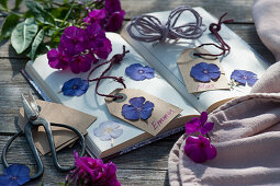 Make gift tags with dried and pressed flowers of Phlox