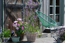 Bee-friendly terrace with dahlia, mountain garlic and verbena and an Acapulco chair