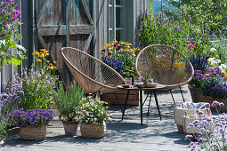 Insektenfreundliche Terrasse mit blühendem Basilikum, Scheinsonnenhut, Malve, Fächerblume 'Violet Blue', Zweizahn 'Bee White', Rosmarin und Sitzgruppe