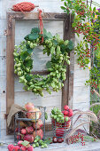 Autumn wreath made of hops hung on old window frames, wire baskets with apples