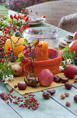 Autumn table decoration with lantern, rose hips, pumpkin, apples, chestnuts, snowberries, hazelnuts and a branch of crabapples