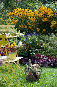 Kleine Sitzgruppe am Beet mit Sonnenhut 'Goldsturm', Mehlsalbei, Knöterich und Purpurglöckchen, Korb mit Utensilien