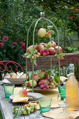 Etagere mit Äpfeln und Zieräpfeln als Tischdekoration, Flasche mit Apfelsaft, Teller und Gläser