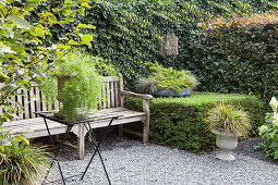 Seat in the garden with a bench in front of the ivy-covered wall