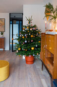 Potted Christmas tree in living room decorated in mid-century modern style