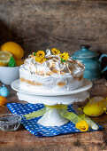 Meringue cake for Easter with lemon and poppy seeds