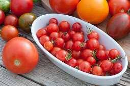 Variety of tomatoes: cherry tomatoes, red round tomatoes, cocktail tomatoes, yellow tomatoes and striped tomatoes
