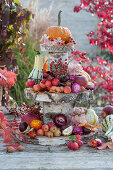 Selbstgebaute Etagere aus Birkenstämmen und Birkenscheiben als Tischdeko mit Kürbissen, Zieräpfeln, Hagebutten, Kastanien und Blüten von Hortensie und Strohblume