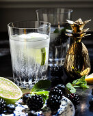Cocktail mit Wodka, Limette, Brombeeren und Minze, daneben Shaker in Ananasform