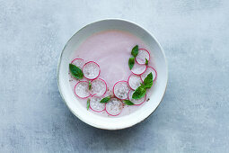 Cold radish cream soup garnished with fresh sliced radish and green basil leaves