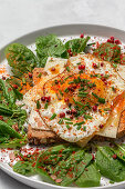 Homemade toasted bread with avocado, mango and aromatic herbs on pink background