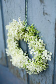 Decorative wreath of elderflowers