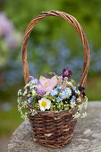 Spring bouquet of aquilegia, forget-me-nots, cow parsley, chive flowers, strawberry flowers and knotweed in basket