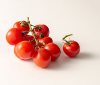 Tomaten der Sorte 'Ciliegino'