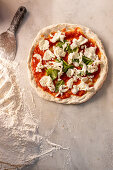 An unbaked Pizza Margherita