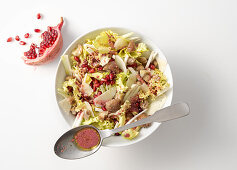 Fennel and celery salad with chestnuts and pomegranate dressing