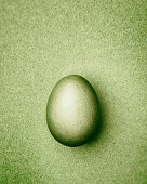 Lime green Easter egg on a lime green background
