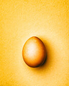 Brown chicken egg on a yellow background