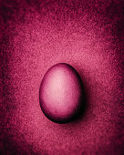 Wine-red Easter egg on a wine-red background