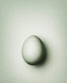 Light gray-green Easter egg on a gray-green background