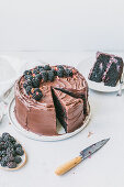 Dunkle Schokoladen-Schichttorte mit Brombeeren