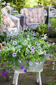 Petunias, verbena, graceful spurge and structural plants planted in zinc tub
