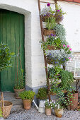 Vertical planter: wicker baskets on ladder