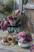 Autumn bowls with stonecrop 'Carl' 'Pure Joy', budding heather, pansies, coral bells, sedge, Heliopsis, ornamental cabbage and bell heath, tulip bulbs, and gardening tools