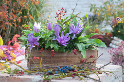Wooden box with autumn crocus 'Waterlily', Cyrtomium, and hart's tongue fern, twigs with sloes, rose hips, and lichens
